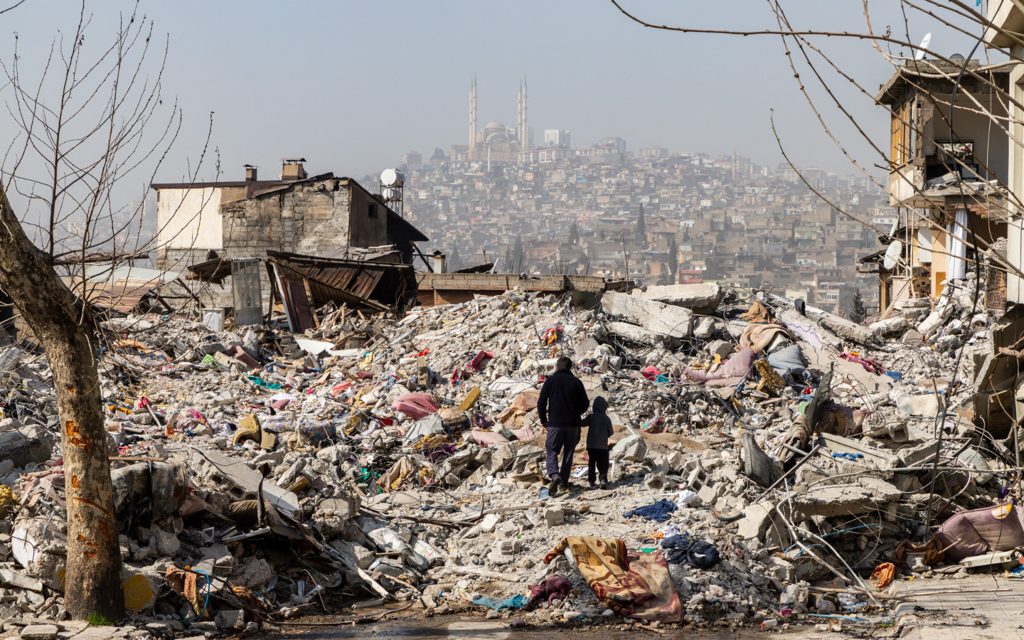 earthquakes-disasters